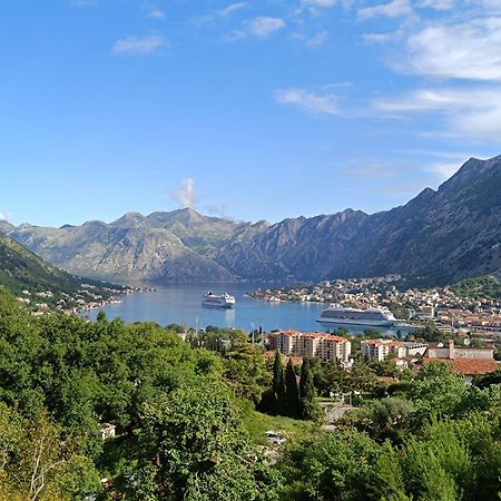 Radgost Kotor Apartments Εξωτερικό φωτογραφία