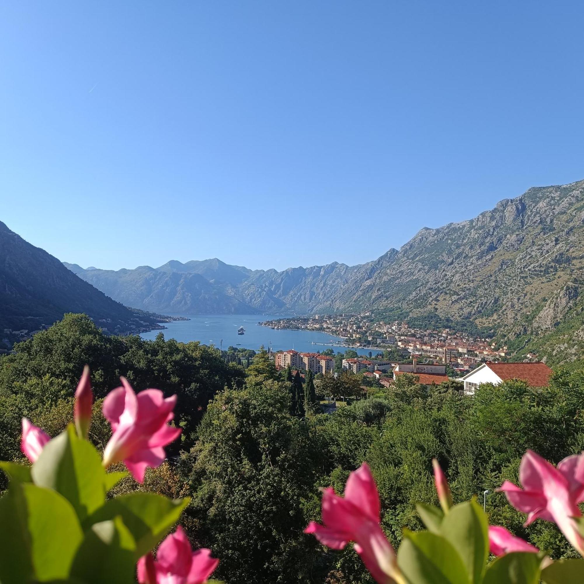 Radgost Kotor Apartments Εξωτερικό φωτογραφία